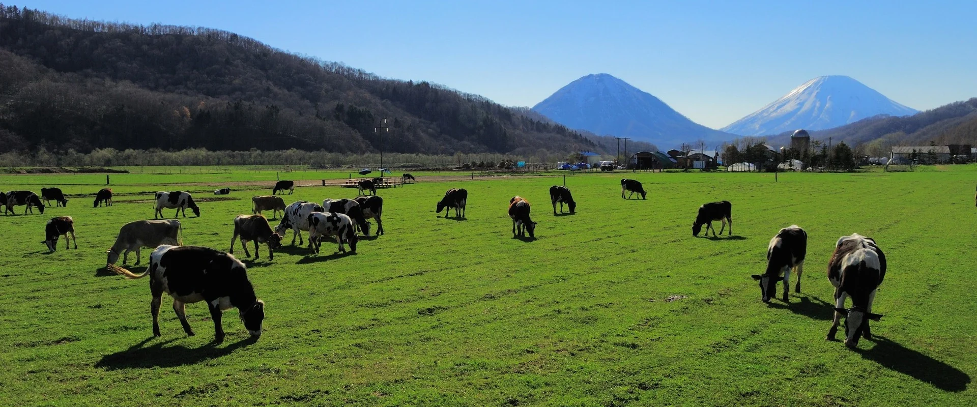 Campo agro offline